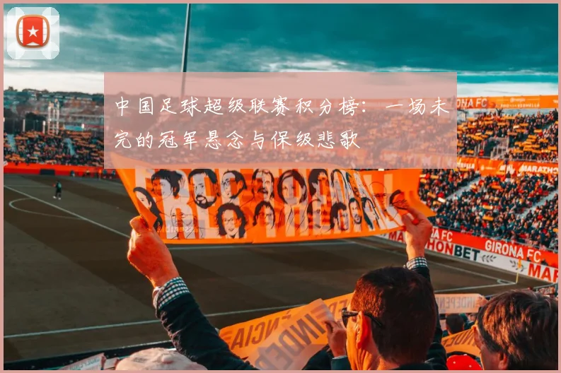 中国足球超级联赛积分榜:一场未完的冠军悬念与保级悲歌