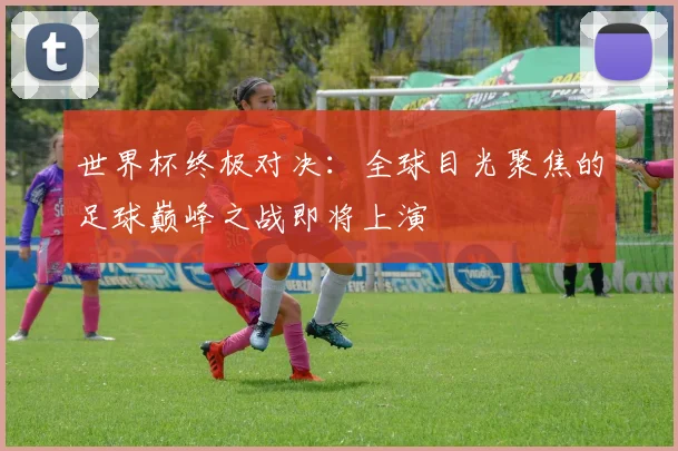 世界杯终极对决:全球目光聚焦的足球巅峰之战即将上演