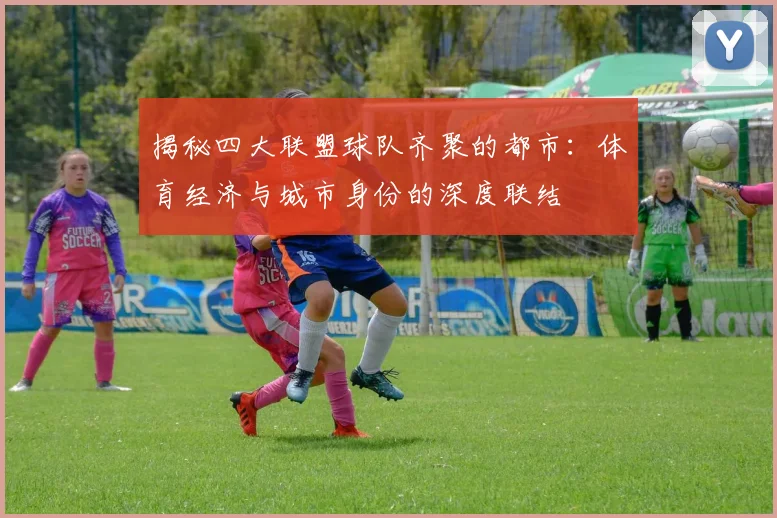 揭秘四大联盟球队齐聚的都市:体育经济与城市身份的深度联结